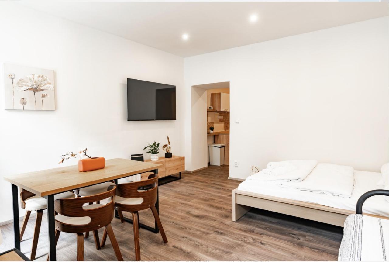 Internesto Brno Luzanky Apartman Kültér fotó