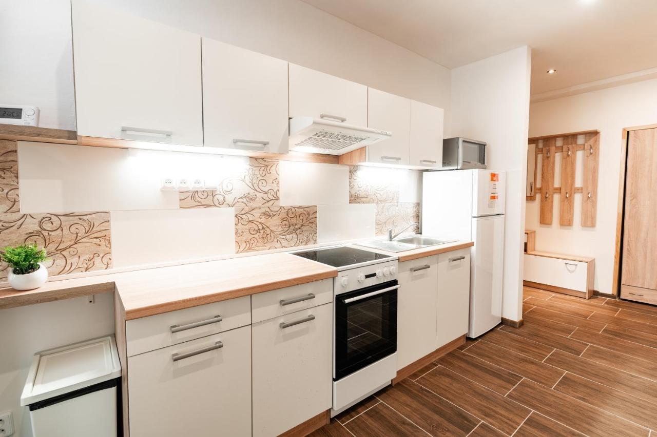 Internesto Brno Luzanky Apartman Kültér fotó